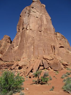 IMG_0340.jpg
