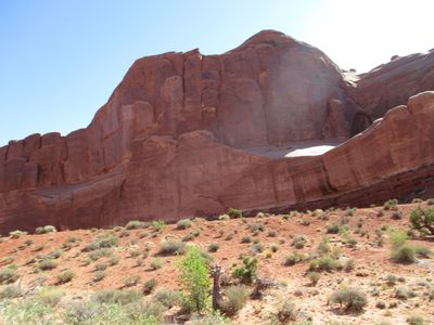 IMG_0342.jpg