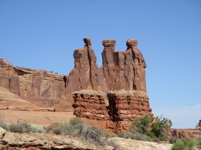 IMG_0352.jpg