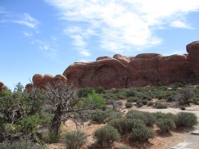 IMG_0379.jpg