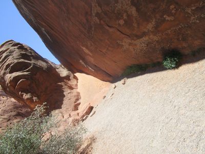 IMG_1397.jpg