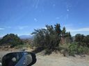 IMG_1400.jpg