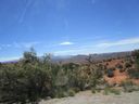 IMG_1401.jpg