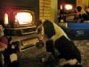 Filename=lady_3x5.jpg
Filesize=132KiB
Dimensions=640x480
Date added=Mar 26, 2024 lady_3x5.jpg