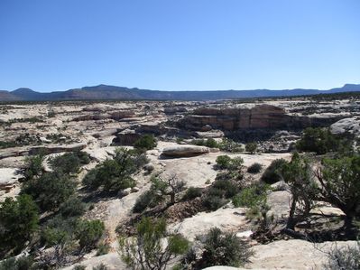 IMG_0666.jpg