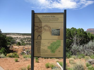 IMG_0682.jpg