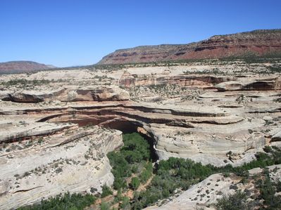 IMG_1510.jpg