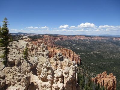 IMG_0104.jpg