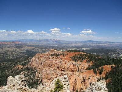 IMG_0105.jpg