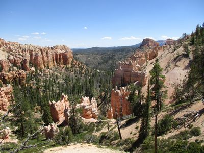 IMG_0147.jpg