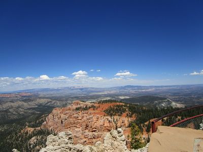 IMG_1175.jpg
