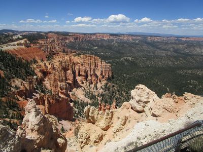IMG_1178.jpg