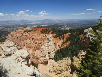 IMG_1180.jpg