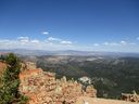 IMG_0120.jpg