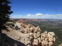 IMG_1176.jpg