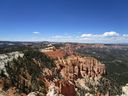 IMG_1179.jpg