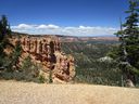 IMG_1181.jpg