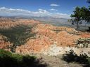IMG_1195.jpg