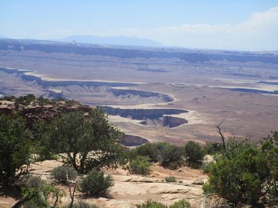 IMG_1429.jpg