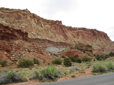 IMG_0243.jpg