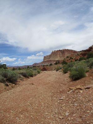 IMG_0248.jpg