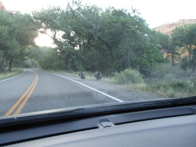 IMG_0314.jpg