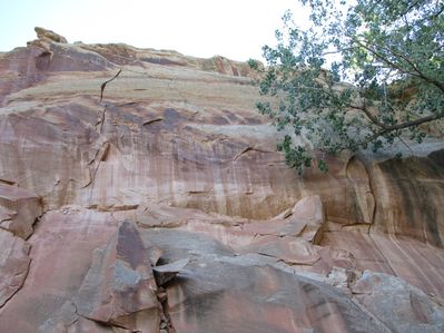 IMG_0553.jpg