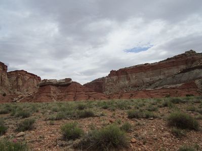 IMG_1232.jpg