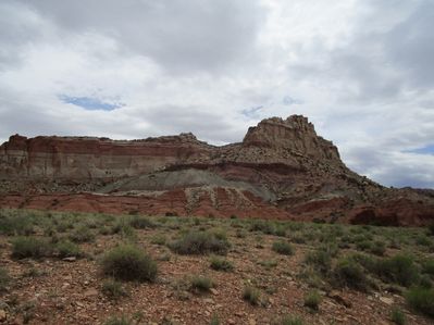 IMG_1233.jpg