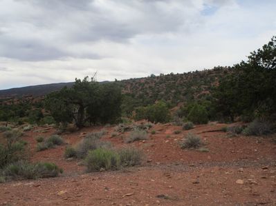 IMG_1244.jpg