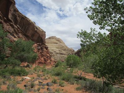IMG_1287.jpg