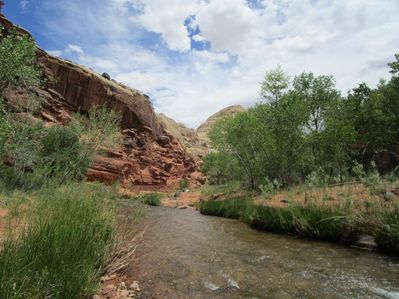 IMG_1288.jpg