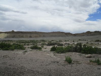 IMG_1291.jpg