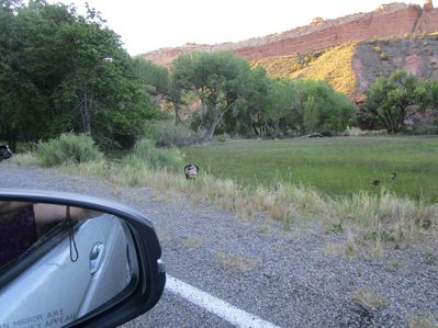 IMG_1298.jpg