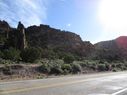 IMG_0175.jpg