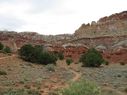 IMG_0253.jpg