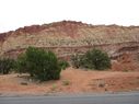 IMG_0257.jpg