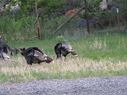 IMG_0573.jpg
