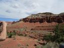 IMG_1214.jpg