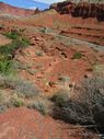 IMG_1219.jpg