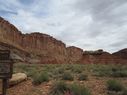 IMG_1231.jpg