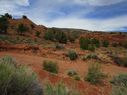 IMG_1235.jpg