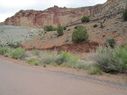 IMG_1265.jpg