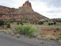 IMG_1267.jpg