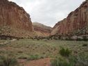 IMG_1269.jpg