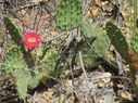 IMG_1286.jpg