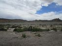 IMG_1290.jpg