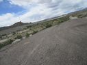 IMG_1295.jpg