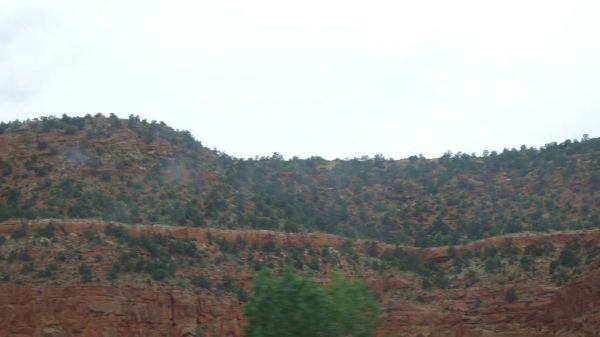 DSC00367.jpg