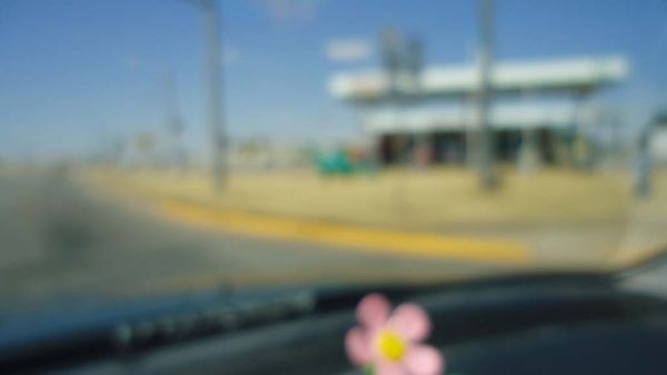 DSC00533.jpg
